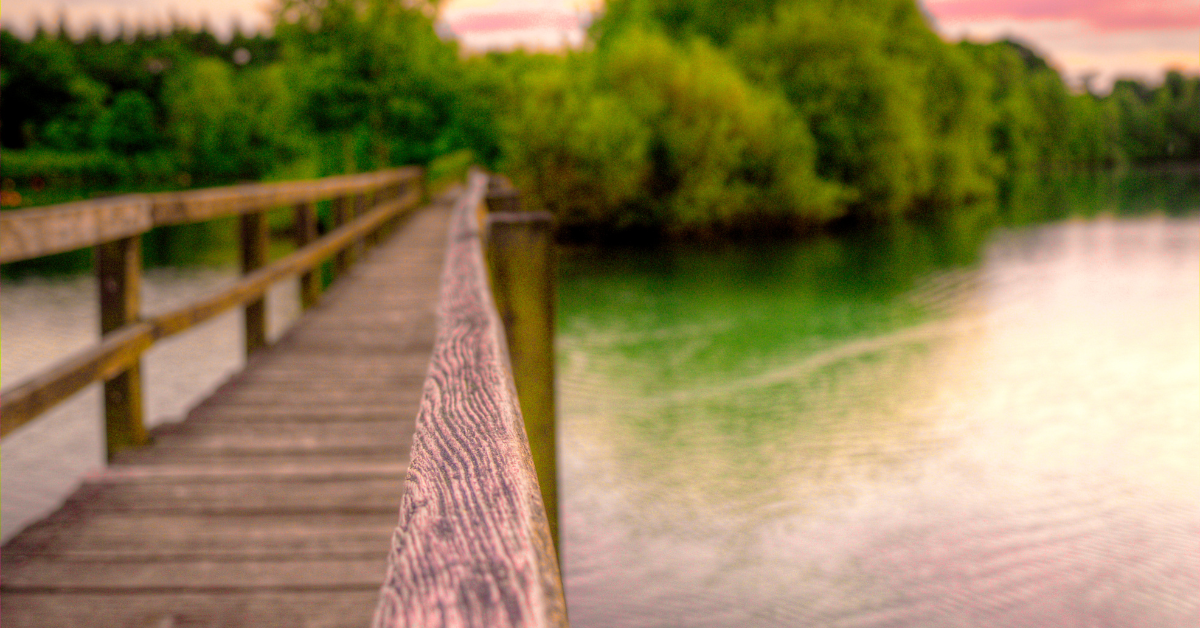 Header | Bridge
