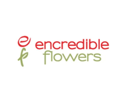 Enc flowers